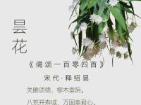 郗昙与王羲之关系-金年会官网首页