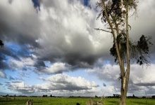 西甲赛程吃紧，毕尔巴鄂竞技冲刺阶段单刀错失，态度坚定，数据趋势出现新变化的简单介绍-金年会官网入口