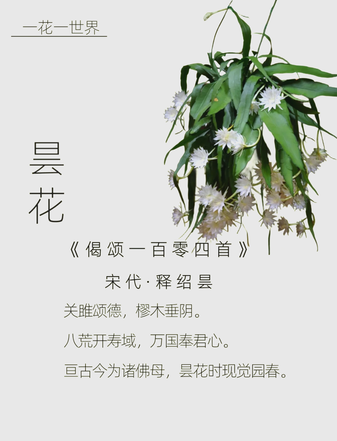 郗昙与王羲之关系